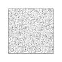 Armstrong CORTEGA Angled Tegular Ceiling Tile, 24" x 24", White, 16/Carton (704A)~#|#~1EF0A304-C3C7-49ED-8E707FCEF4850C44_sc7