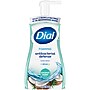 Dial Antibacterial Foaming Hand Soap, Coconut Water Scent, 8/Carton (017000347158)~#|#~1FABAD5D-433C-4C35-A370324C959E83B8_sc7