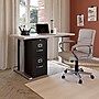 Staples 2-Drawer Mobile Vertical File Cabinet, Letter Size, Lockable, 27.95"H x 14.9"W x 24.4"D, Black (59555/25420)~#|#~1FC8ECE7-1E7A-4014-862473C80738DC43_sc7