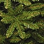 National Tree Company 4' Kingswood Fir Artificial Christmas Tree (KW7-500-40)~#|#~1FD35ED9-DB9B-4EFF-A817B53D3E75681B_sc7