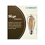 Viribright 5 Watts Warm White LED Decorative Bulb, 6/Box (ST19/641350/6)~#|#~2043C9D1-6375-4F60-B2123868E8226741_sc7