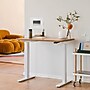 Branch Duo 48"W Electric Adjustable Standing Desk, Woodgrain/White (10-10-05-10)~#|#~204D0DF2-835A-414D-88B61E1649BBC661_sc7