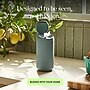 Biom Refillable Cleaning Wipes Dispenser, Eucalyptus (P-DIS-EUC)~#|#~2059F7E9-1B20-4F08-BB68FFE7B7C468E1_sc7