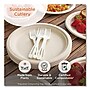 World Centric WORSPPSI TPLA Plastic Spoons, 750/Carton~#|#~2099C502-FB72-4626-8FB613EE3B3CE147_sc7