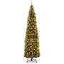 National Tree Company 12' Pre-Lit Kingswood Fir Artificial Christmas Tree (KW7-300-120)~#|#~20A81634-87D9-432A-B0CA0E63F2DF7E90_sc7