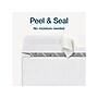 Adams 2024 Self-Seal Security-Tinted Double-Window 1099 Tax Envelope, 9" x 5-5/8", White, 25/Pack (STAX1-24)~#|#~216CF353-F864-436B-BE0E28BD3F4D7A46_sc7
