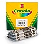 Crayola Bulk Crayons, Silver, 12/Pack, 6 Packs/Bundle (BIN520836084-6)~#|#~2202B76B-DBC3-43E0-B32978CC64580017_sc7