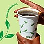 Perk™ Eco Compostable Paper Hot Cup, 12 Oz., White/Green, 50/Pack (PK56222)~#|#~220C1A10-B491-4E79-9DE9D9D6948A34D8_sc7