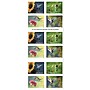 USPS Garden Delights Forever 20 Postage Stamps (FOR-GARDENDE-20)~#|#~222D3CF5-4F02-4D96-A688DFC478DD2A65_sc7