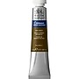 Winsor & Newton Watercolor Paint Tube, Raw Umber (WNX0308554)~#|#~2235B3FC-1000-42FB-970E3DFE84176439_sc7