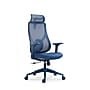 Raynor Group Torque Ergonomic Fabric/Mesh Swivel Manager Chair, Blue (TORQUE-BLU)~#|#~22727709-DAB1-40ED-9B930CB73C31AE46_sc7