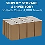 Pacific Blue Basic Multifold Paper Towels, 1-ply, 250 Sheets/Pack, 16 Packs/Carton (20204)~#|#~232584FB-AD68-4055-820231BD95E76F13_sc7