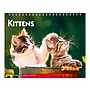 2026 BrownTrout Kittens 7.5" x 6" Monthly Desk Calendar (9798330704118)~#|#~233EE3F0-FE14-411A-B9B00C3A9798D555_sc7