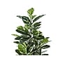 Monarch Specialties Inc. Rubber Tree in Pot (I 9513)~#|#~23A84501-0A30-4D57-B54B31C43D5C11C7_sc7