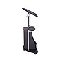 Techni Mobili 22"W Manual Adjustable Standing Laptop Cart, Black (RTA-B005-BK46)~#|#~23D771E0-F5A0-4A13-BB1FB07B0C7B8C35_sc7