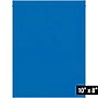 8" x 10" Reclosable Poly Bag, 2 Mil, Blue, 1000/Carton (PB3635BL)~#|#~23D80FB1-8513-4707-8E544E3017AF8BD4_sc7
