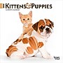 2026 BrownTrout Kittens & Puppies 7" x 7" Monthly Wall Calendar (9798330704095)~#|#~23F6C38A-3969-4523-98819B1003393FCB_sc7