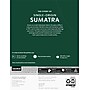 Starbucks Sumatra Coffee Keurig® K-Cup® Pods, Dark Roast, 24/Box (SBK22964)~#|#~245C4511-FB86-41F9-B97C275E216A2BB8_sc7
