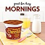 Cheerios Whole Grain Honey Nut Oat Cereal, 1.8 oz., 6/Box (GEM13898)~#|#~24739D5E-9A26-43BA-ACA3D5C23394FB3B_sc7