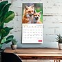 2026 Wyman Canadian Geographic Foxes 12" x 12" Monthly Wall Calendar (9781525699832)~#|#~24B0C625-B7FD-444B-B124328E72DDF8CF_sc7