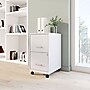 STAPLES 2-Drawer Vertical File Cabinet, Letter Size Documents, Lockable & Mobile, 18.9" D x 14.3" W x 26.3" H, White~#|#~24E163F3-DDE0-49D3-90B4F69B39BE2EE5_sc7