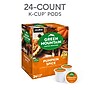 Green Mountain Pumpkin Spice Coffee Keurig K-Cup Pods, Light Roast, 24/Box (5000368942)~#|#~259809A7-44AB-4DD3-A0AF1657C50F670A_sc7