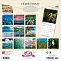2026 BrownTrout Florida Nature 12" x 12" Monthly Wall Calendar (9798330703265)~#|#~260FED7D-365D-4CD1-9B6B914C0E590349_sc7