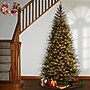 National Tree Company 6' Pre-Lit Aspen Spruce Artificial Christmas Tree (AP7-300-60)~#|#~2666E7FB-7EBA-4084-89196284B4A55EA0_sc7