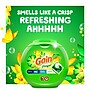 Gain Flings HE Laundry Detergent Capsules, Original Scent, 56 oz., 76 Capsules (09485)~#|#~267098BA-ACCB-49D0-90366C8BF6469DF7_sc7