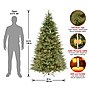 National Tree Company 6.5' Pre-Lit Frasier Grande Artificial Christmas Tree (PEFG4-308D-65)~#|#~26903E3A-86C2-4268-89CE4D783C4AB26D_sc7