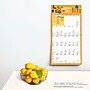 2025 BrownTrout National Day  12" x 12" Monthly Square Wall Calendar (9781975479985)~#|#~269C911A-66AF-47E9-886275F81274D009_sc7