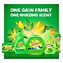 Gain Fireworks In-Wash Scent Booster Beads, Original, 18.2 oz (76343)~#|#~26E44F31-3236-404B-8822E68380C84663_sc7