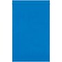 6" x 9" Reclosable Poly Bag, 2 Mil, Blue, 1000/Carton (PB3615BL)~#|#~276ED434-BACE-44FA-BD3D2B3215A94244_sc7