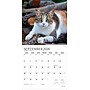 2026 Plato I Love Cats 12" x 12" Monthly Wall Calendar (9798330706808)~#|#~2773D70F-7CFE-4474-90EC4B18CCFACDD0_sc7