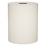 Scott Essential Hardwound Paper Towels, 1-Ply, 12 Rolls/Carton (04142)~#|#~2857EDC3-DF01-4C44-AAB51E34052CAE98_sc7