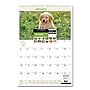 2026 AT-A-GLANCE Puppies 15.5" x 22.75" Monthly Wall Calendar (AAGDMW16728)~#|#~2982BCD5-9479-465F-934D4EE0AD5BF8F1_sc7