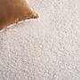 Safavieh Shag Collection 8' x 8' Square Indoor Area Rug, Machine Made, Ivory (SG151-1212-8SQ)~#|#~29A90159-1E40-42DB-A4326FB51370D0DB_sc7
