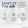 Lysol Air Sanitizer Spray, Sunkissed Petals Scent, 10 oz. (19200-56148)~#|#~2A71E826-0995-4B0E-A6D3A858B9446500_sc7