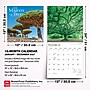 2027 BrownTrout The Majesty of Trees 12" x 12" Monthly Wall Calendar (9798330711574)~#|#~2ABA1A72-02D5-41A9-B335EA030272C920_sc7