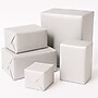 JAM Paper Wrapping Paper, 25' x 30", Silver (354528189)~#|#~2AD87BC6-E5E2-4E3E-BD350CBEEBB47BC6_sc7