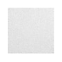 Armstrong ULTIMA Health Zone Beveled Tegular Edge Ceiling Tile, 24" x 24", White, 12/Carton (BP1937A)~#|#~2B165E8E-F17E-4D86-BD01BEE0168F6049_sc7