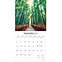 2026 Brush Dance Pathways 12" x 12" Monthly Wall Calendar (9798330706556)~#|#~2BBD9BF9-1AAC-486E-9441B2E097663CD1_sc7