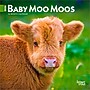 2026 BrownTrout Baby Moo Moos 7" x 7" Monthly Wall Calendar (9798330702275)~#|#~2BDC1D4A-CE9C-4A8C-AE9252BD2FB05DB4_sc7