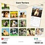 2026 BrownTrout Cairn Terriers 12" x 12" Monthly Wall Calendar (9798330702701)~#|#~2C78D549-4A9A-4FAB-B45D4551D971892E_sc7
