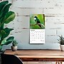 2026 BrownTrout Hummingbirds 7" x 7" Monthly Wall Calendar (9798330703791)~#|#~2C947BB8-2FA7-4220-97DBEB910AF4C5E1_sc7