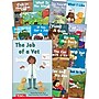 Teacher Created Materials Decodable Books: Read & Succeed Boxed Set, 15/Set (SEP145497)~#|#~2D397D6D-B56B-469B-9693D71E1F20A104_sc7