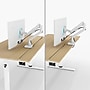 Arozzi Arena Nordico 55"W Electric Adjustable Standing Desk, Birch (ARENANRDWTBCH)~#|#~2D8086CE-5BE7-40A1-8C84C453554FB9B3_sc7