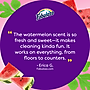 Fabuloso 2X All-Purpose Cleaner, Watermelon Scent, 169 oz. (61051624)~#|#~2E0077A7-5D2C-4C50-85F647C27694B9D9_sc7