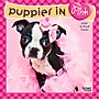 2026 BrownTrout Puppies in Pink 7" x 7" Monthly Wall Calendar (9798330707942)~#|#~2E2DA650-AB76-4A70-BE6AEFC658F2515E_sc7