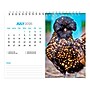 2026 BrownTrout Chickens 7.5" x 6" Monthly Desk Calendar (9798330702862)~#|#~2E4479E8-5583-4D34-9D11F70BD1772C74_sc7